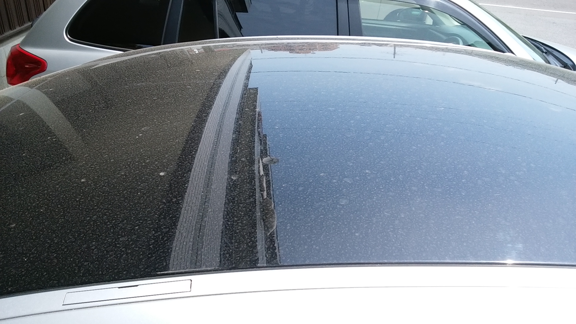 シルバーの車は本当に汚れが目立たないのか検証してみた スマートイージーライフ